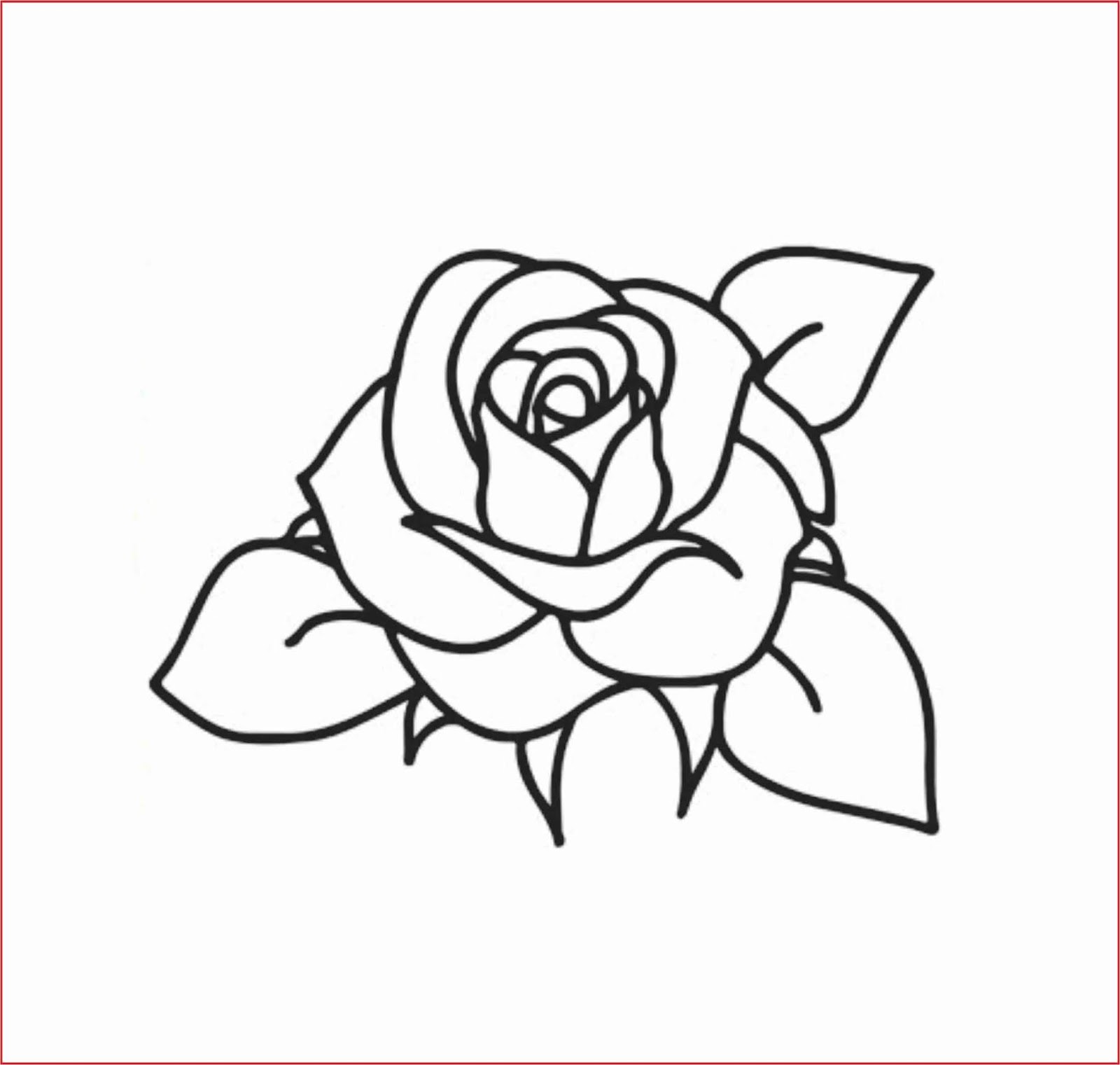 Gambar Lukisan Bunga Mawar : 12 Tips Menanam & Merawat BUNGA MAWAR di ...