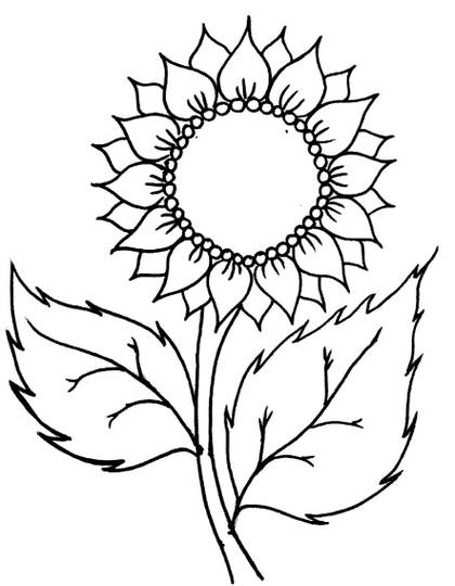 Sketsa Bunga Matahari (11) | Pelajarindo.com