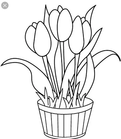 Sketsa Bunga | Bunga Matahari, Teratai, Mawar, Sakura, Tulip -  Pelajarindo.com