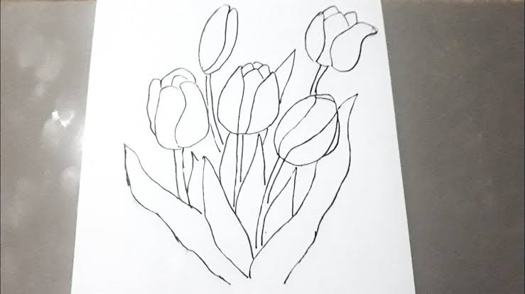 Sketsa bunga tulip