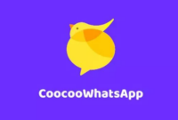 coocoo whatsapp